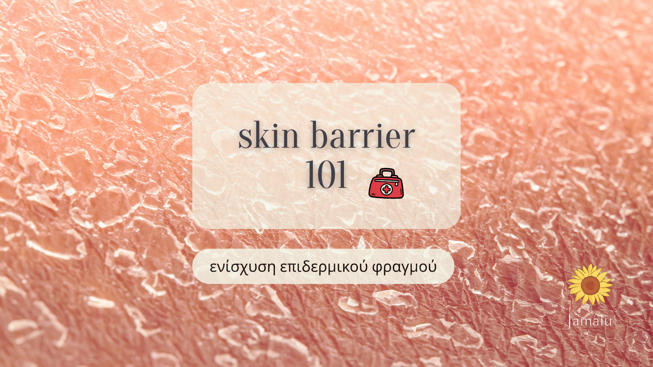 skin barrier 101 επανορθωση του επιδερμικου φραγμού